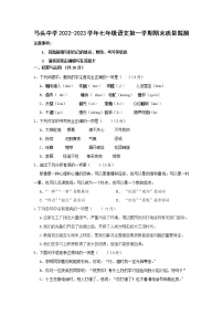 山东省东明县马头镇初级中学2022-2023学年七年级上学期期末质量监测语文试题(含答案)