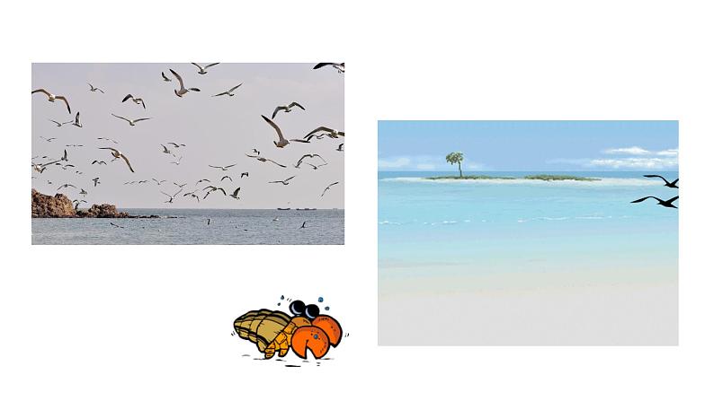 第5课《大自然的语言》课件01