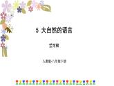 第5課《大自然的語言》課件