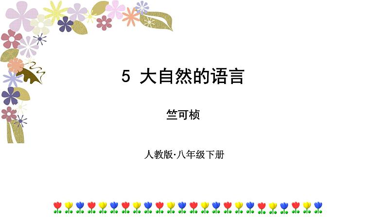 第5课《大自然的语言》课件03