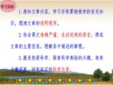 第5課《大自然的語言》課件