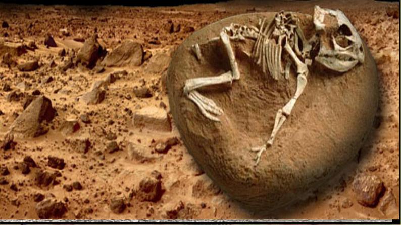 第6课《阿西莫夫短文两篇》课件01