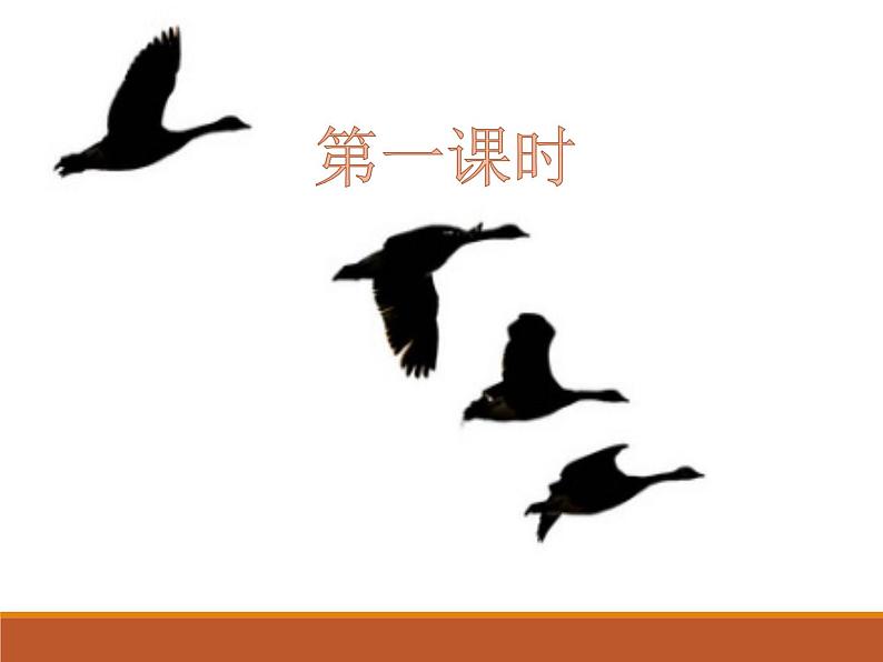 第7课《大雁归来》课件第2页