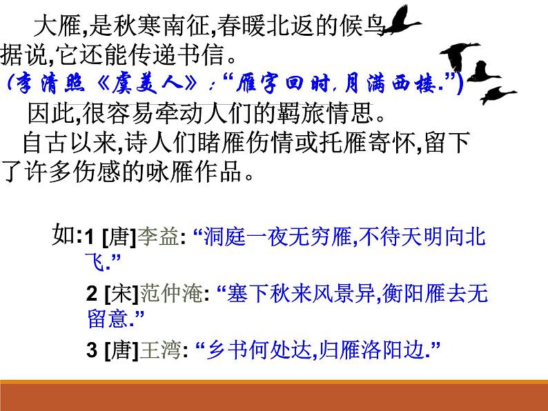 第7课《大雁归来》课件第3页