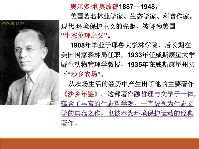 第7课《大雁归来》课件第4页