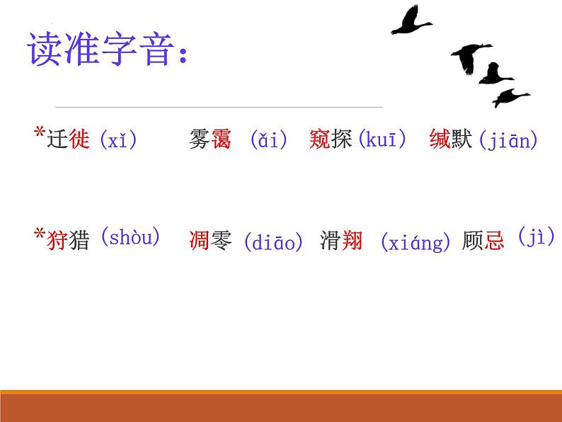 第7课《大雁归来》课件第5页