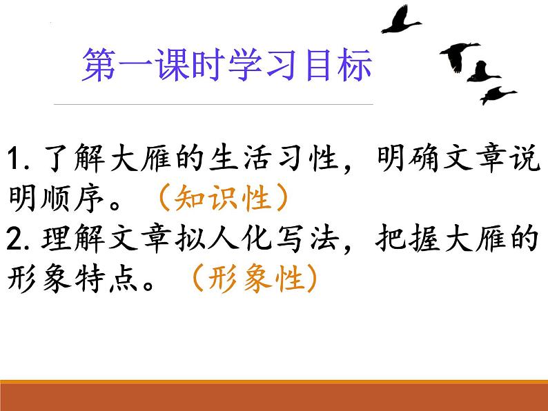第7课《大雁归来》课件第8页