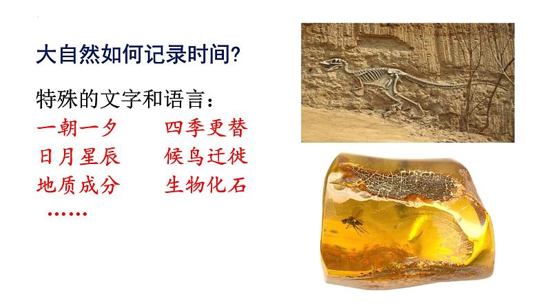 第8课《时间的脚印》课件第2页