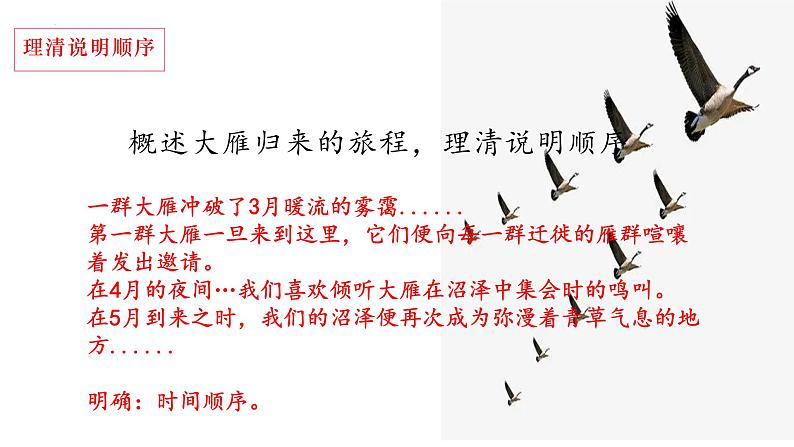 第7课《大雁归来》课件PPT07