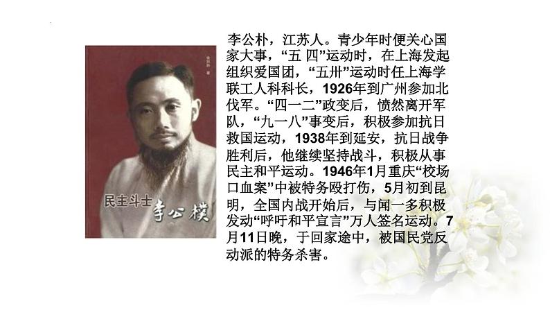 第13课《最后一次讲演》课件第6页