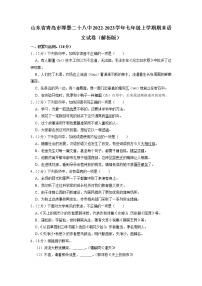 山东省青岛市即墨区第二十八中学2022-2023学年七年级上学期期末考试语文试卷+