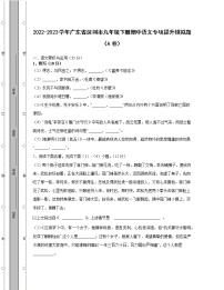 2022-2023学年广东省深圳市九年级下册期中语文专项提升模拟题（AB卷）含解析