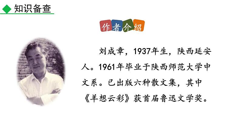 部编版八年级语文下册--3 安塞腰鼓 （课件）第4页