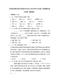 天津市红桥区泰达实验中学2022-2023学年九年级上学期期末语文试卷(含答案)