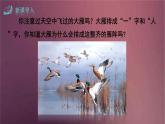 部编版语文八年级下册 7 大雁归来  课件