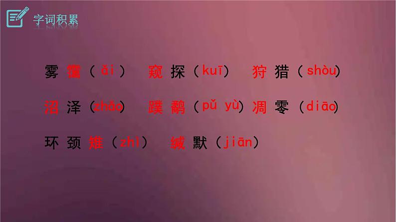 部编版语文八年级下册 7 大雁归来  课件第7页