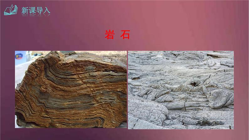 部编版语文八年级下册 8时间的脚印  课件03