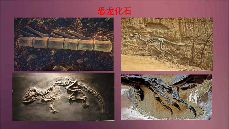 部编版语文八年级下册 8时间的脚印  课件04