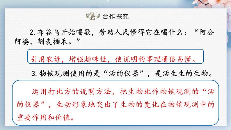 05  大自然的语言（第二课时）（课件）-2022-2023学年八年级语文下册同步精品课件+教案+练习第5页
