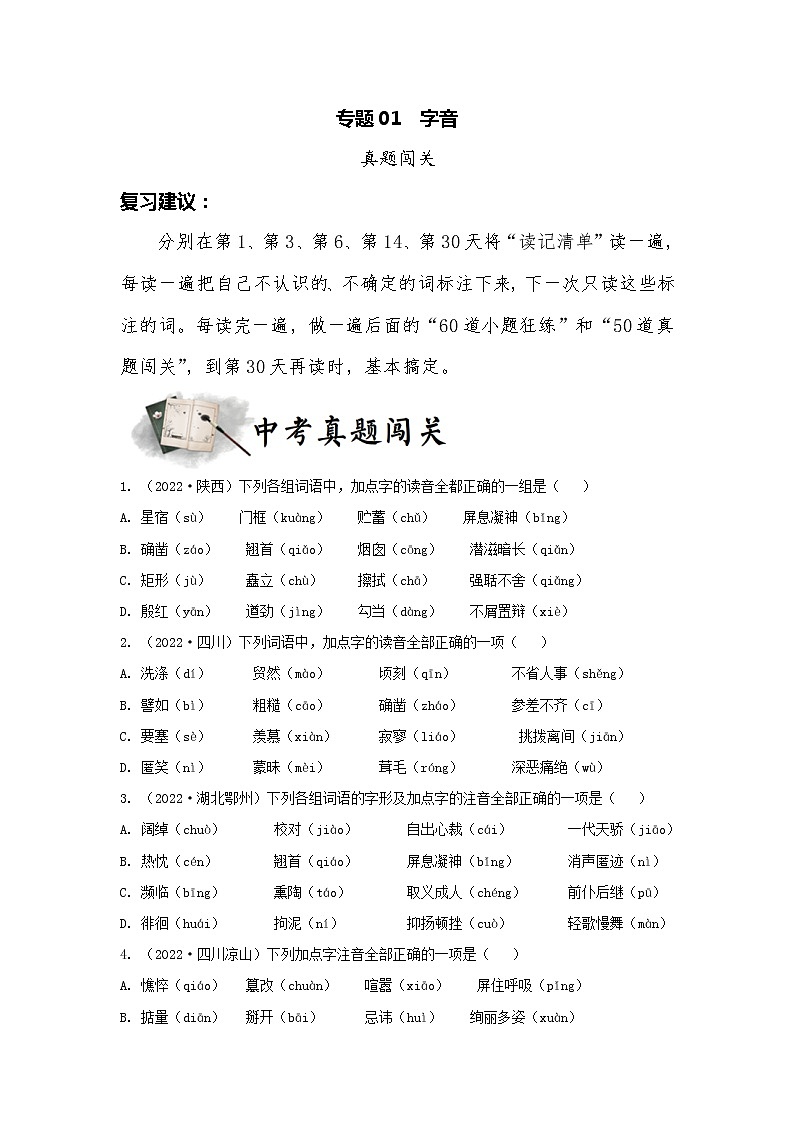 专题01  字音（真题闯关）（原卷版）1第1页
