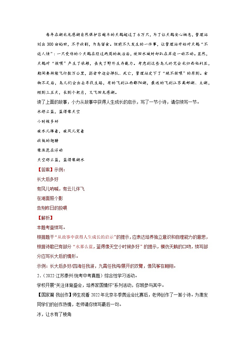 专题13  仿写（真题闯关）（解析版）第2页