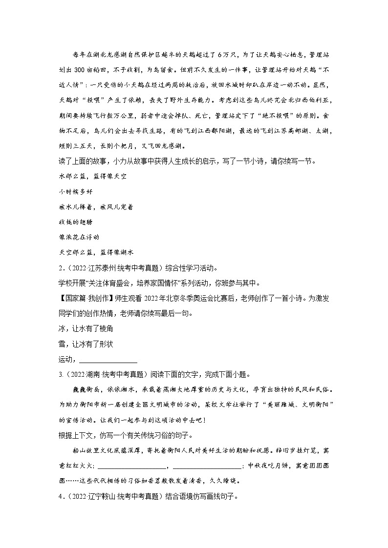 专题13  仿写（真题闯关）（原卷版）第2页