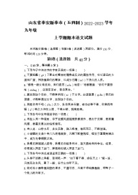 山东省泰安市新泰市（五四制）2022-2023学年九年级上学期期末语文试题