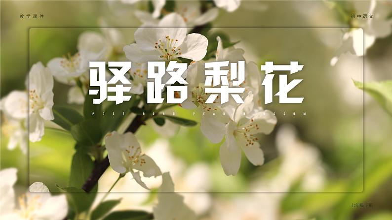 第14课《驿路梨花》课件+素材04