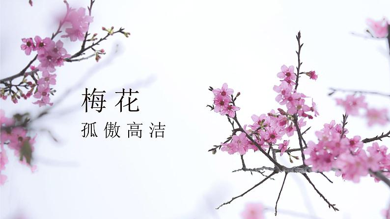 第16课《短文两篇——爱莲说》课件+素材01