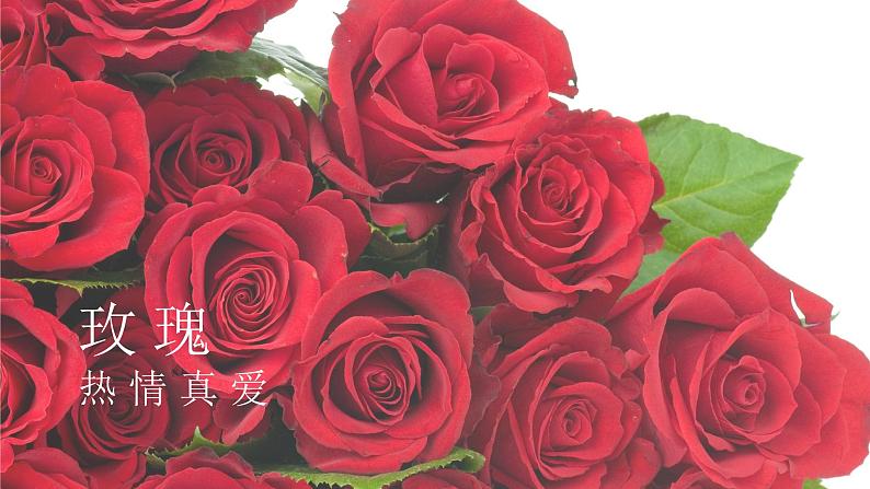 第16课《短文两篇——爱莲说》课件+素材05