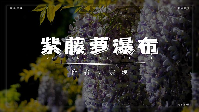 (部编七下)紫藤萝瀑布第1页