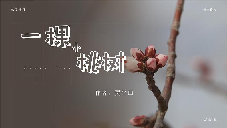 （部编七下）一颗小桃树第1页