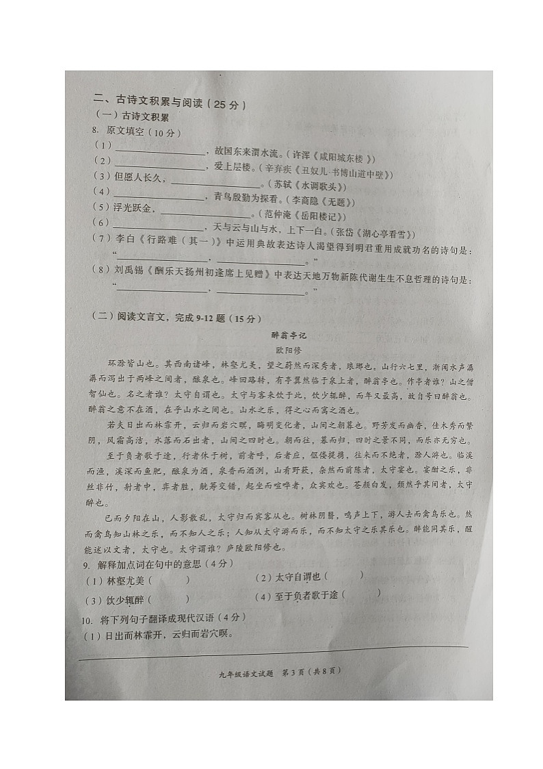 重庆市南川区2022-2023学年九年级上学期期末质量监测语文试题03