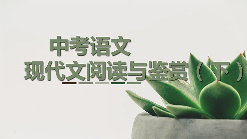 现代文阅读与鉴赏（下）课件  2023年中考语文二轮复习第1页