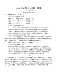 2021年四川省成都市中考语文试卷【含答案】