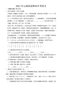 2021年云南省昆明市中考语文试卷【含答案】
