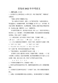 2022年青岛市中考语文试卷【含答案】