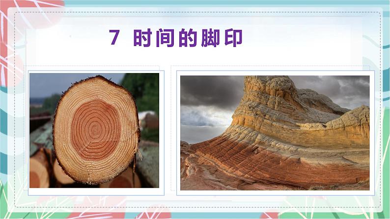 第8课 时间的脚印（课件）2022-2023学年八年级语文下册01