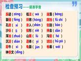 第8课 时间的脚印（课件）2022-2023学年八年级语文下册