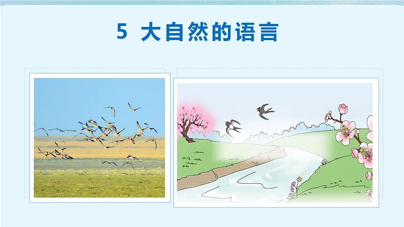 第5课 大自然的语言（教学课件）第1页