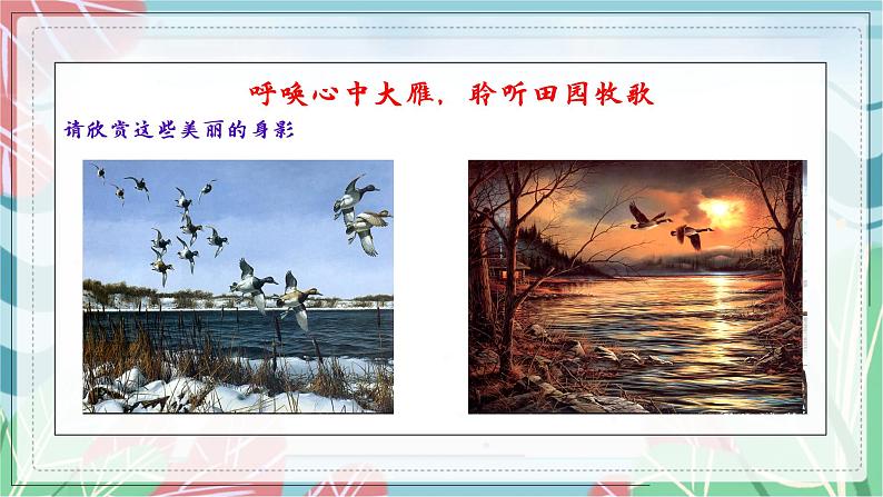 第7课《大雁归来》（课件）（部编版）02