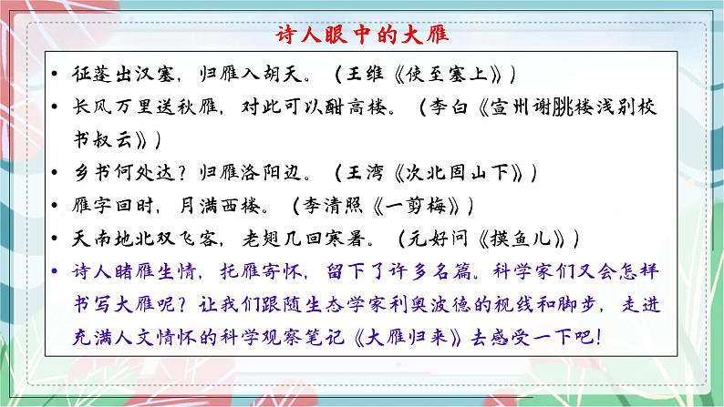 第7课《大雁归来》（课件）（部编版）03