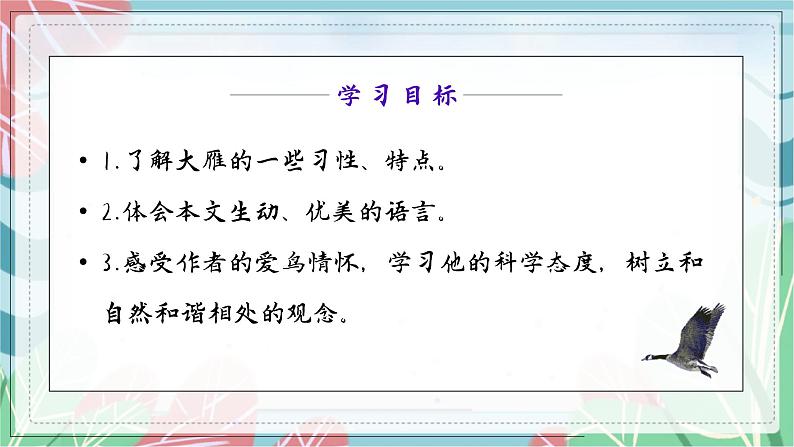 第7课《大雁归来》（课件）（部编版）08