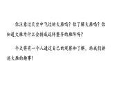 部编版八年级语文下册--7 大雁归来（课件）