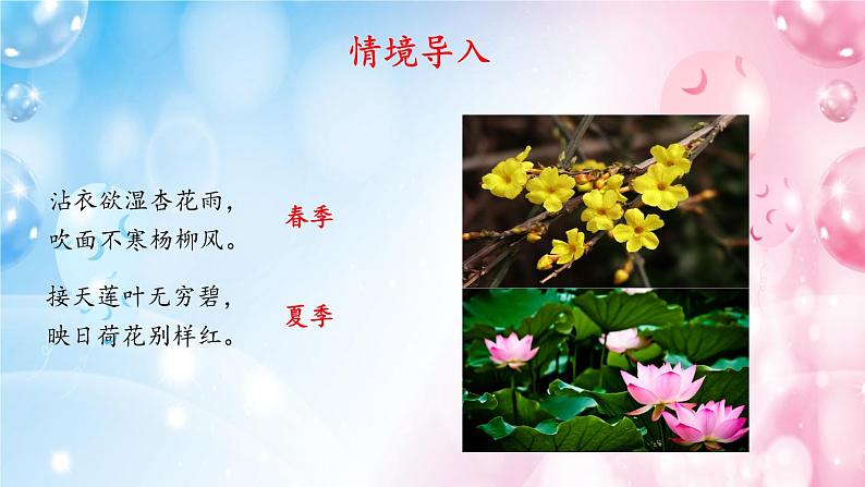 5《大自然的语言》 课件-02