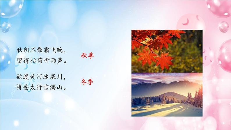 5《大自然的语言》 课件-03