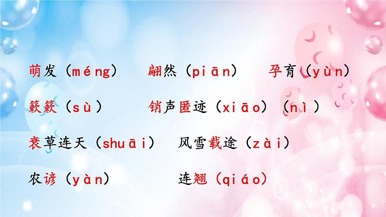 5《大自然的语言》 课件-08