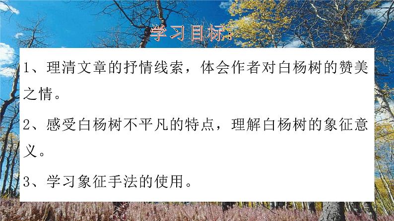 八上白杨礼赞 课件03