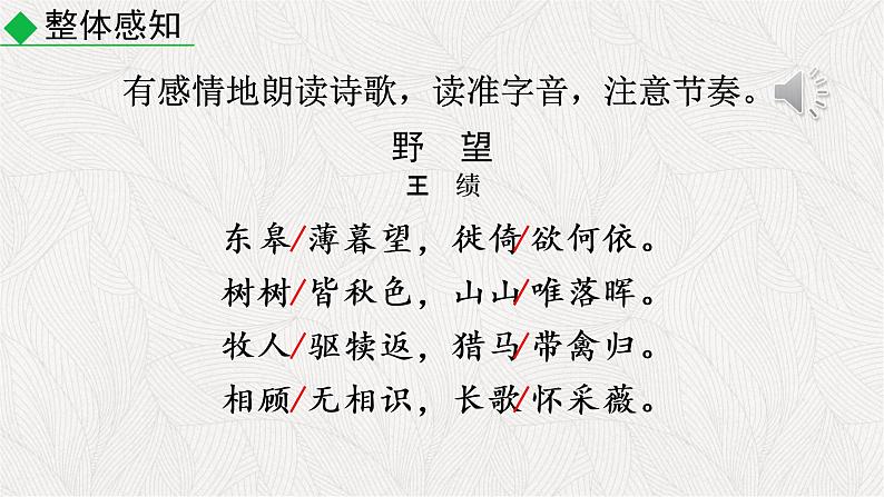 13.1野望课件PPT06