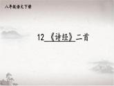 12 《诗经》二首-2022-2023学年部编版语文八年级下册精品课件